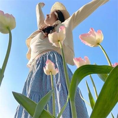 夏洛特