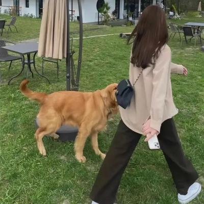 迷失在黑暗中
